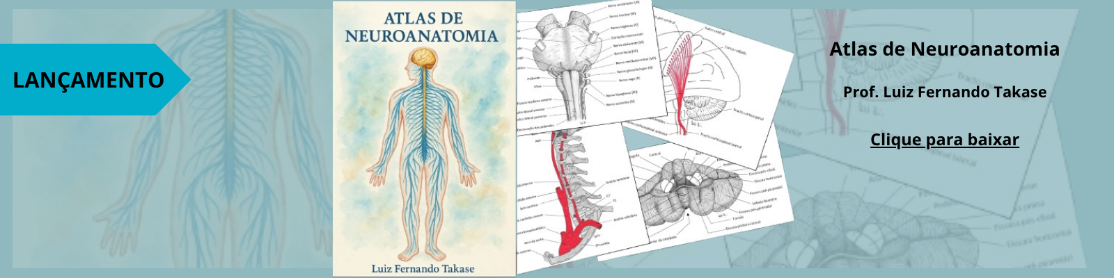 Atlas de Neuroanatomia