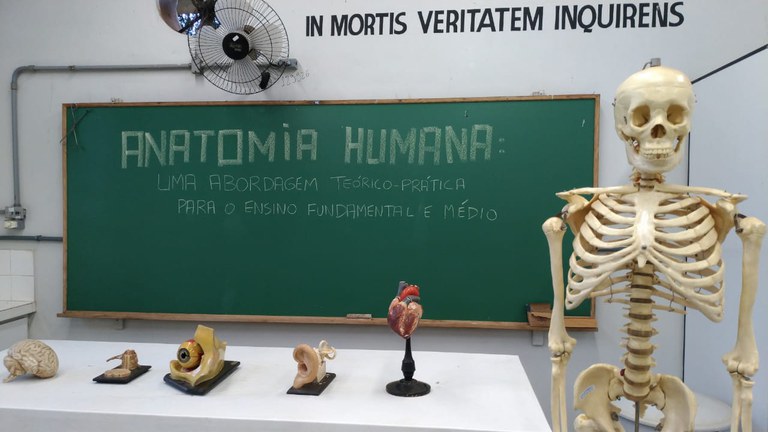 Na foto pode se observar em primeiro plano, um modelo de esqueleto humano em tamanho real. Em uma bancada, estão dispostos modelos anatômicos de um cérebro, medula espinhal, olho, orelha e coração. Na lousa está escrito "Anatomia Humana: uma abordagem teórico-prática para o ensino fundamental e médio". Na parede ao fundo está escrito em latim "in mortis veritatem inquirens" que significa "na morte busca-se a verdade".