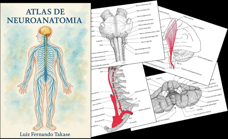 WhatsApp Image 2025-10-29 at 09.06.39.jpeg